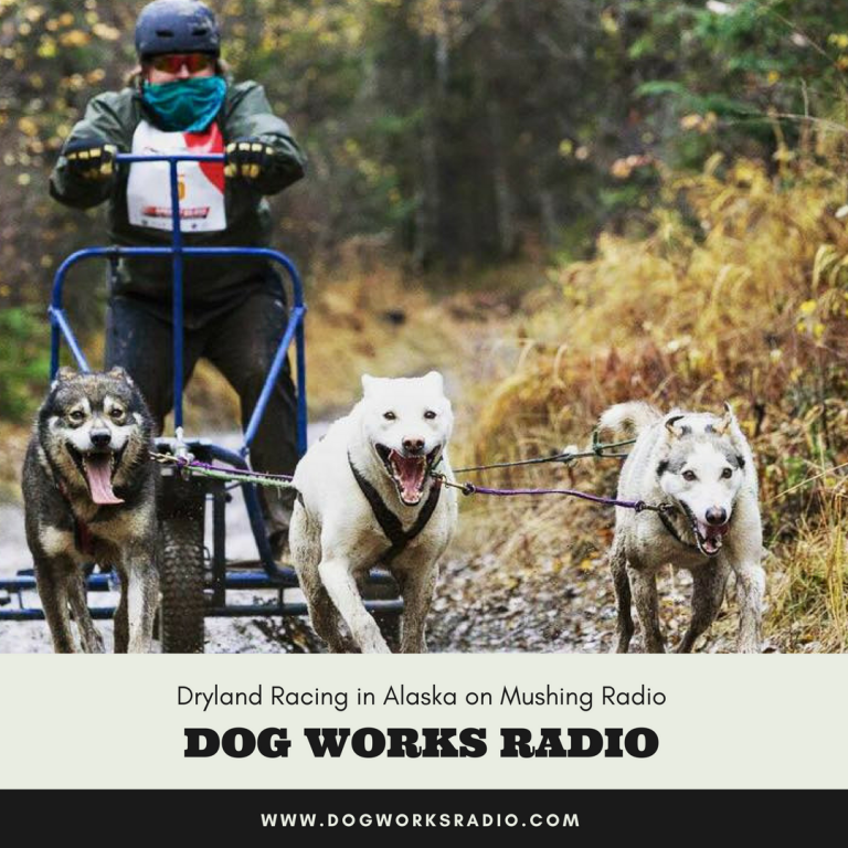 Dryland Mushing in Alaska Dog Works Radio