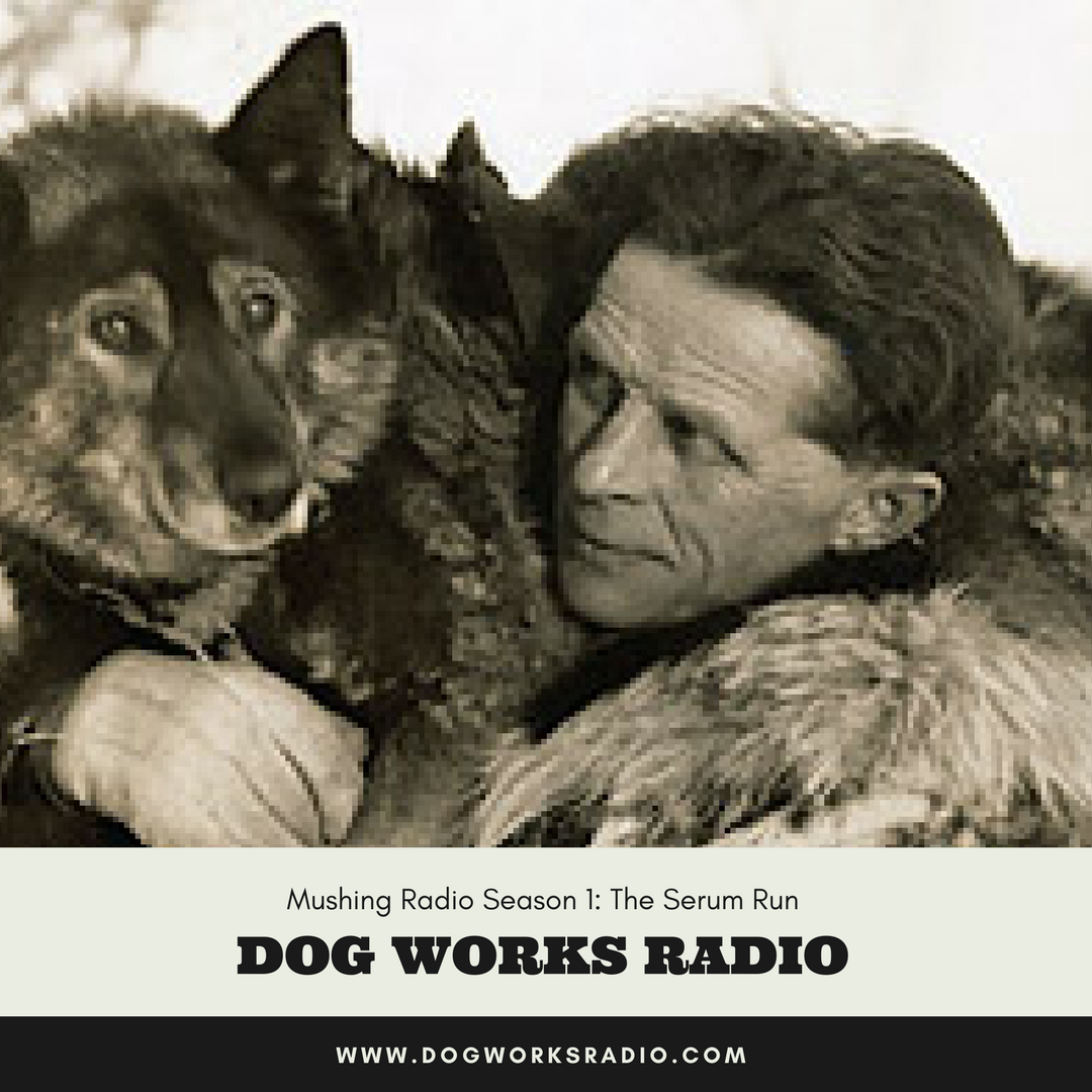 Season 1 The Serum Run Dog Works Radio