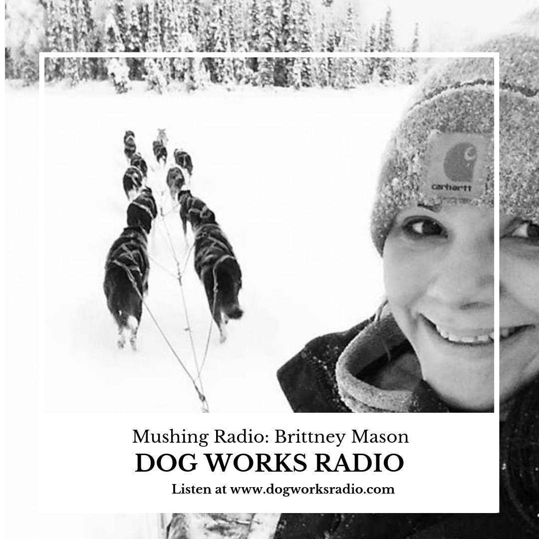 Brittney Mason on Mushing Radio