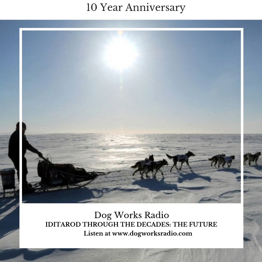 Iditarod Through the Decades: The Future
