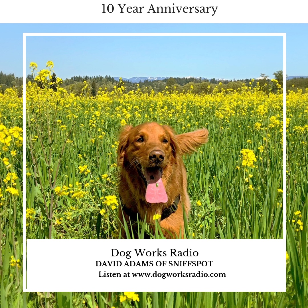 SniffSpot on Dog Works Radio