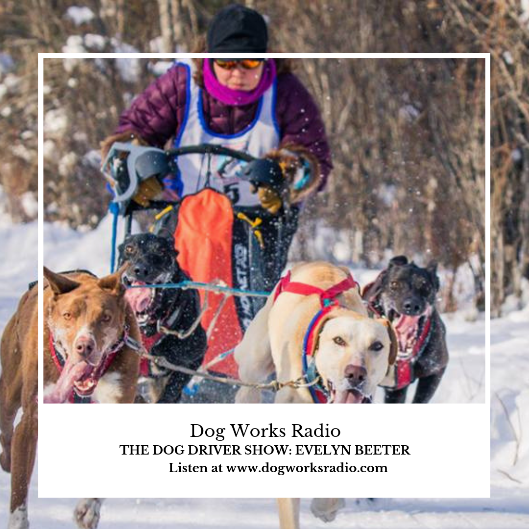 Evelyn Beeter Dog Works Radio