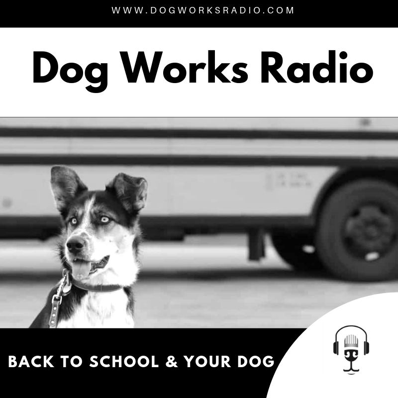 Back to School and Your Dog Dog Works Radio