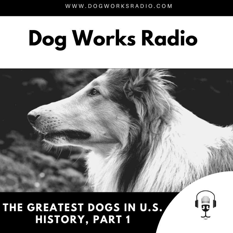 Greatest Dogs in US History Part 1 Dog Works Radio