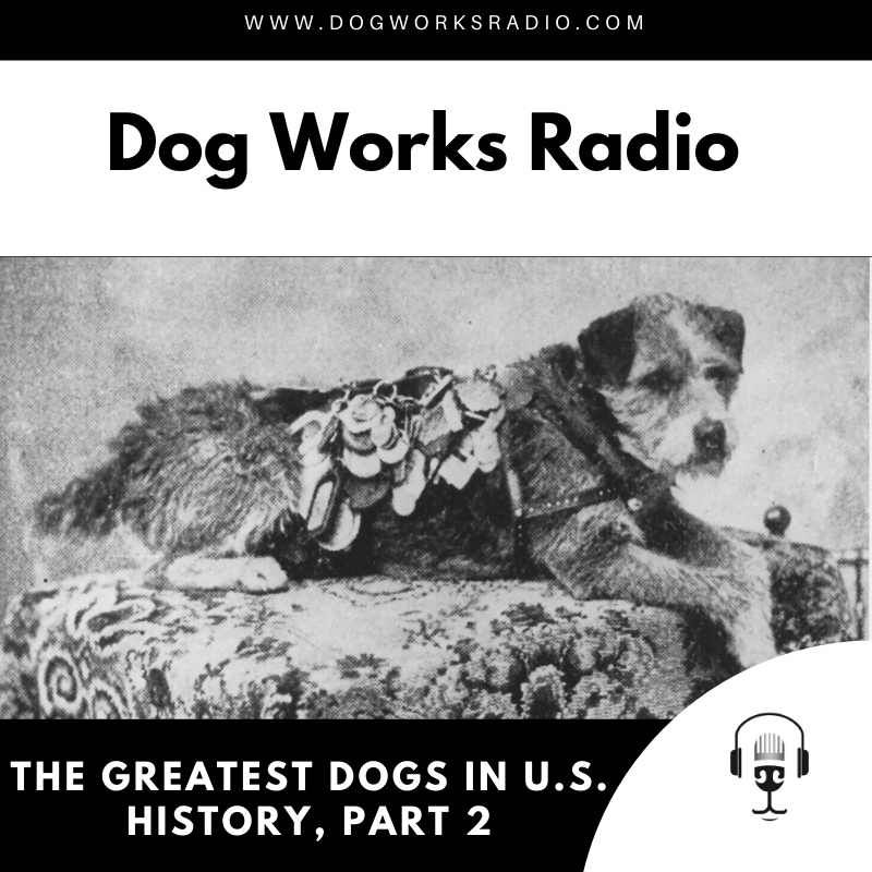 The Greatest Dogs in U.S. History Part 2 Dog Works Radio