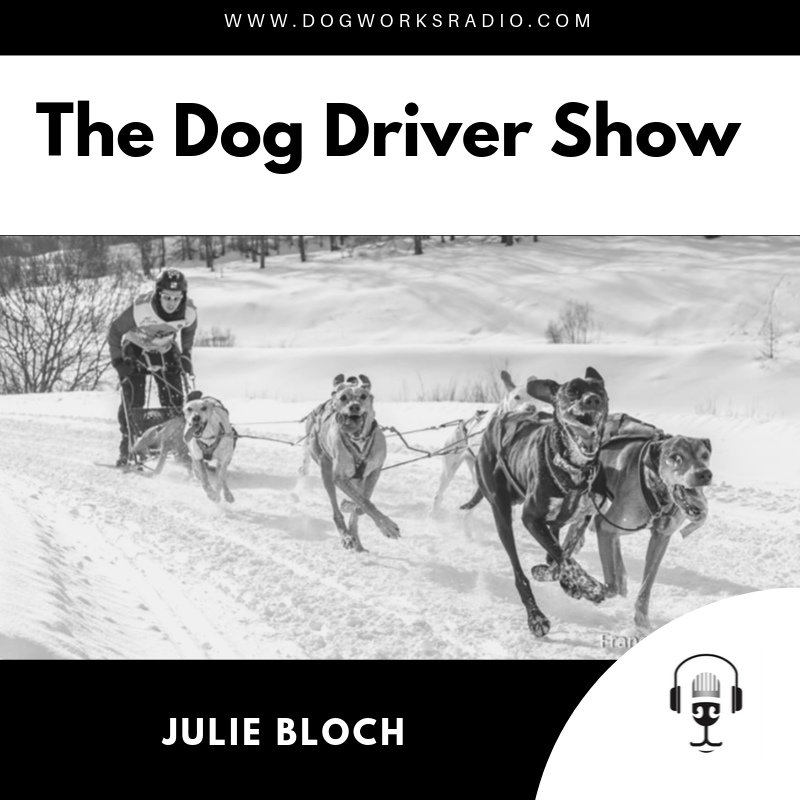Julie Bloch on Dog Works Radio