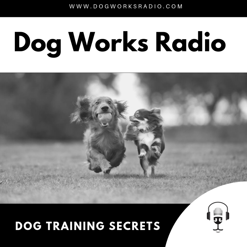 Dog Training Secrets on Dog Works Radio