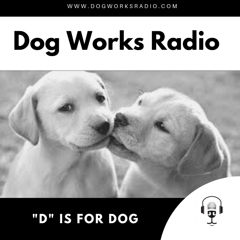 D is for Dog Dog Works Radio