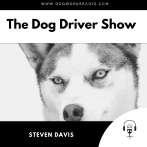 Steven Davis Dog Works Radio