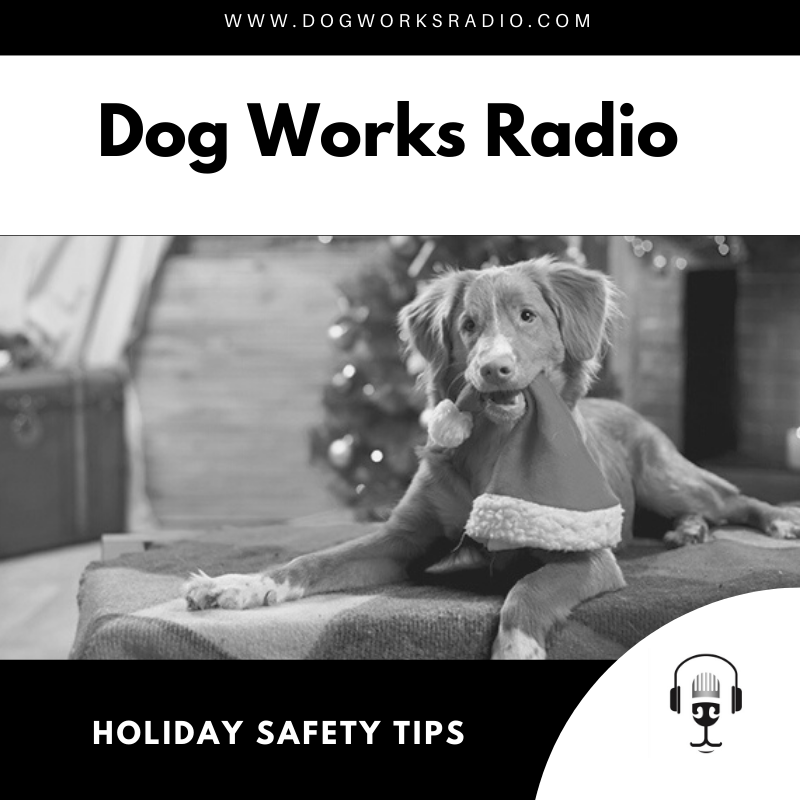 Holiday Safety Tips for your dog on Dog Works Radio