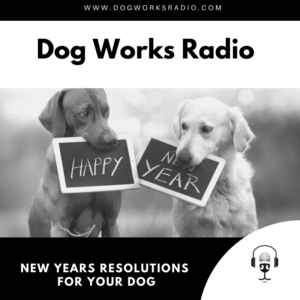 New Years Resolutions for Your Dog Dog Works Radio