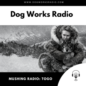 Togo Dog Works Radio