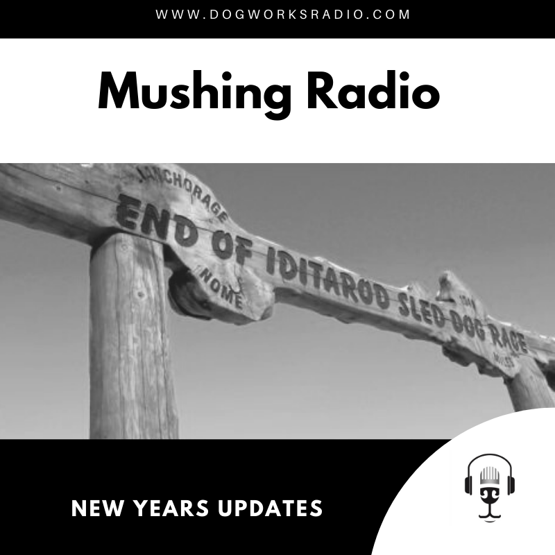 New Years Updates Dog Works Radio