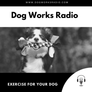 Dog Works Radio Exercise for your dog