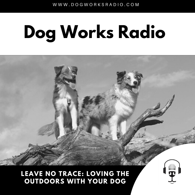 Dog Works Radio Leave No Trace Loving the Outdoors with your dog