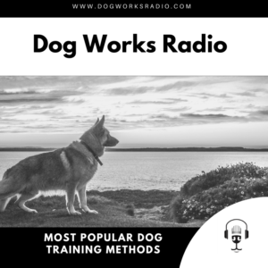 Dog Works Radio Most Popular Dog Training Methods