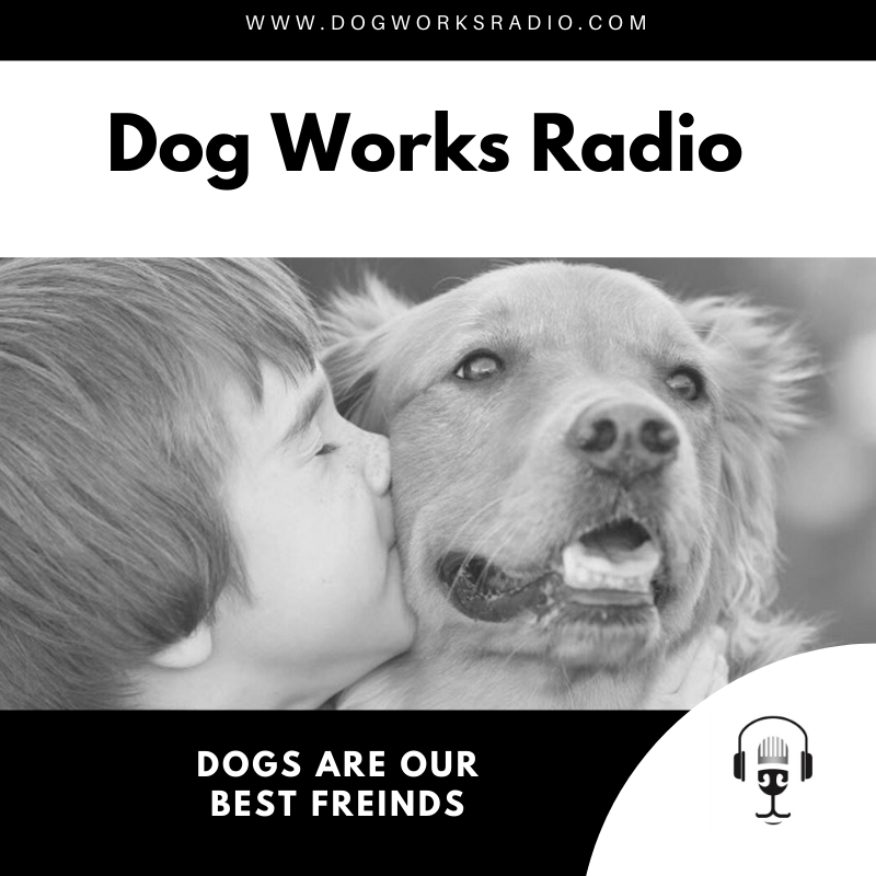 Dog Works Radio our dogs are our best friends
