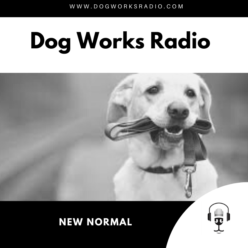 Dog Works Radio New Normal