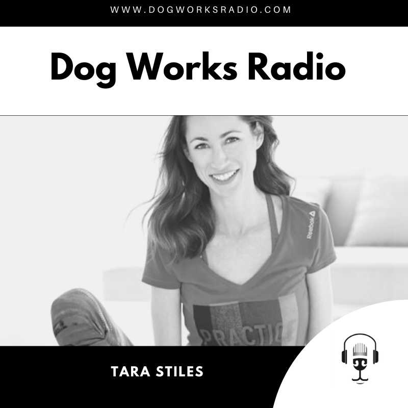 Tara Stiles - Photos and Interview