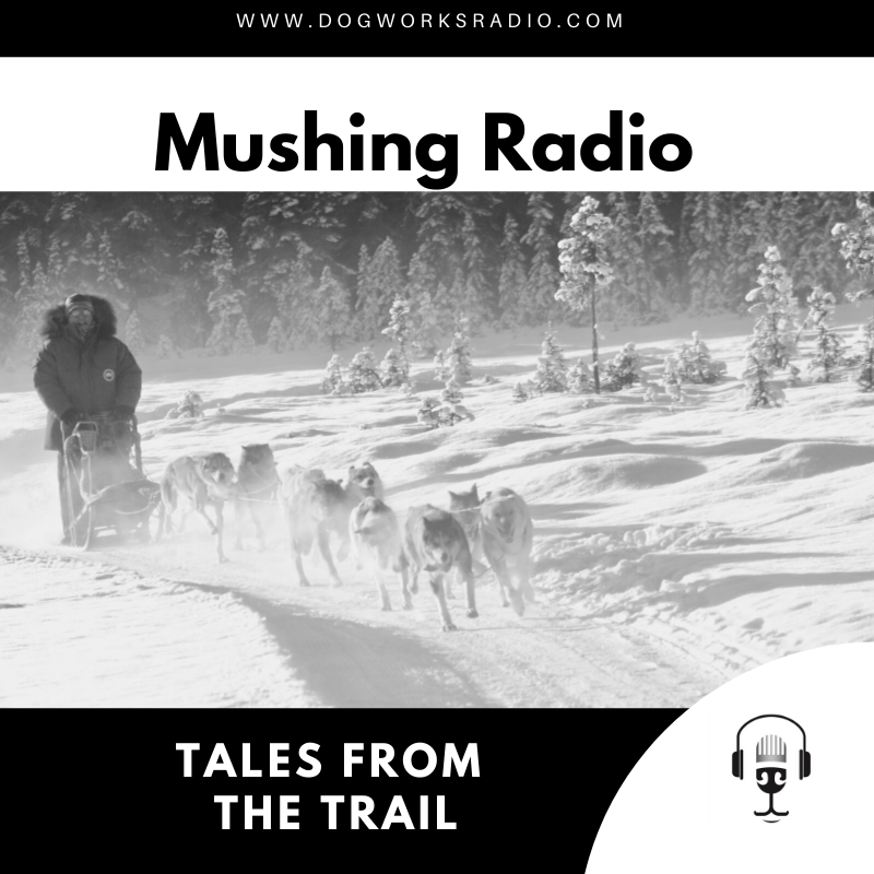 Dog Works Radio Tales from the Traill