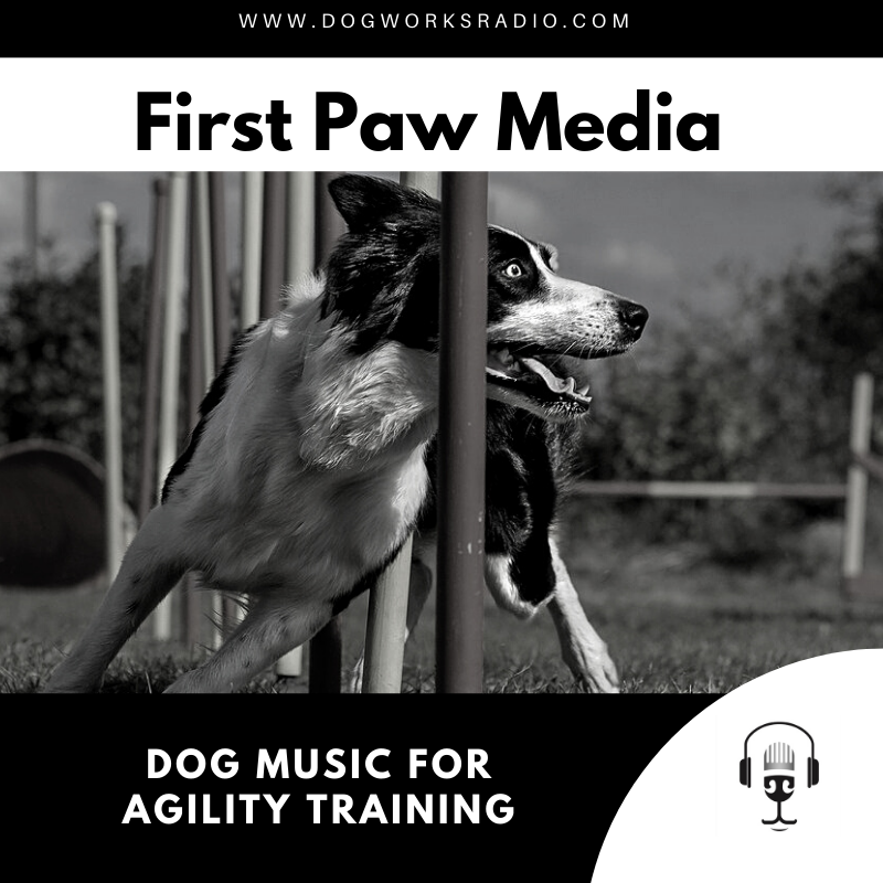 DOG MUSIC FOR AGILITY TRAINING