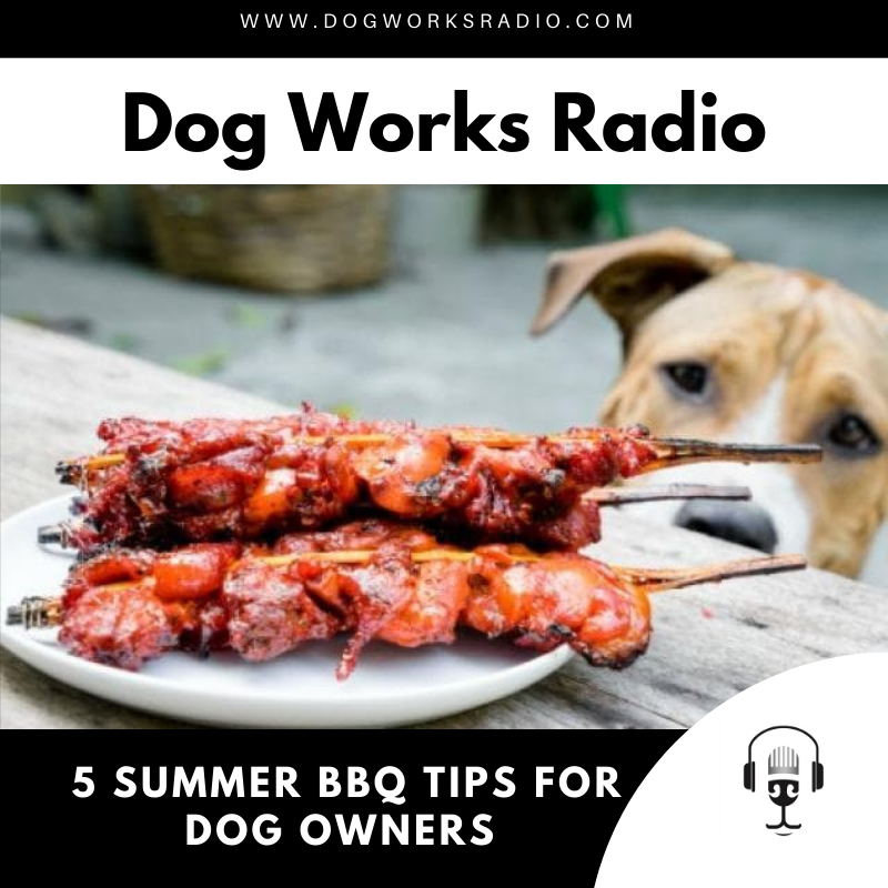 BBQ Tips for dog owners