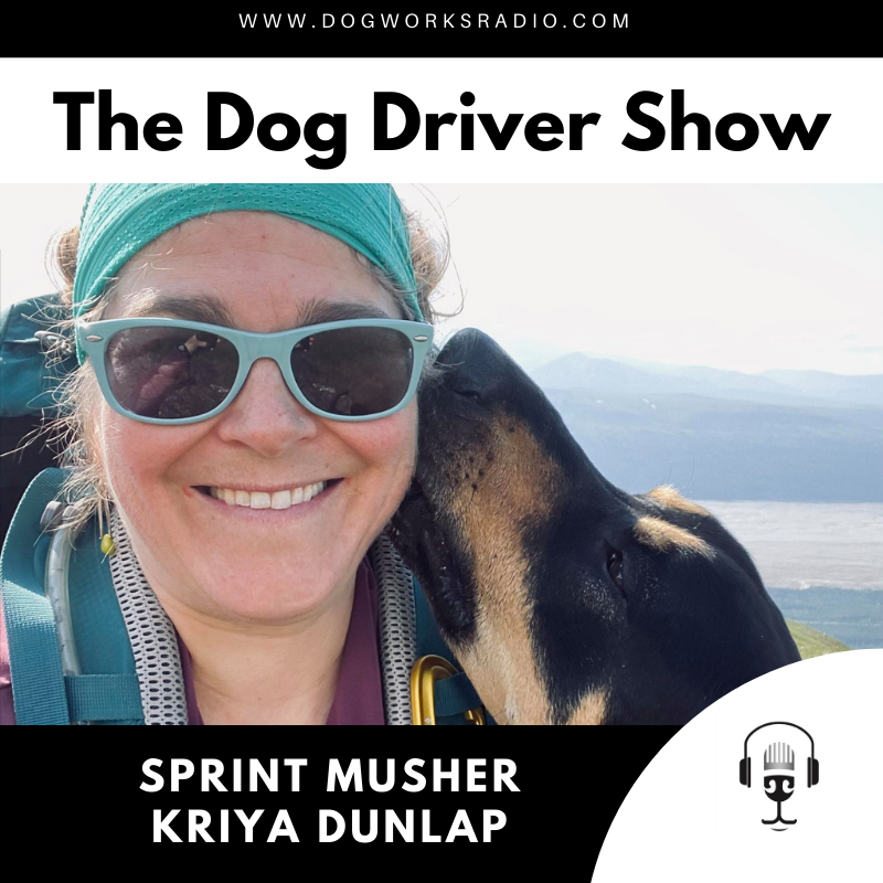 Dog Works Radio Kriya Dunlap