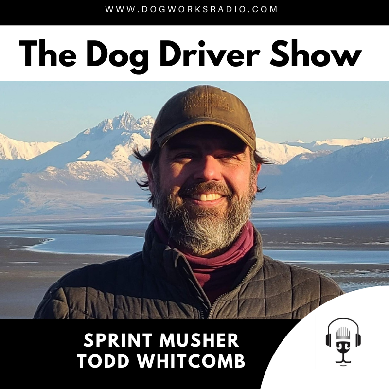 Todd Whitcomb dog driver show