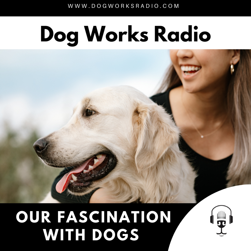 our fascination with dogs dog works radio