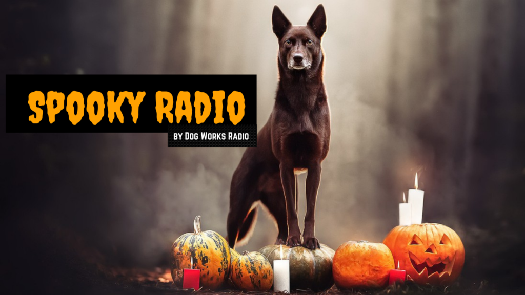 spooky radio on dog works radio