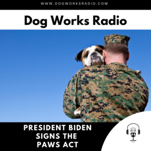 president Biden signs paws act dog works radio