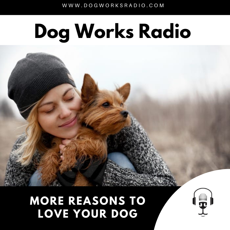 more reasons to love your dog dog works radio