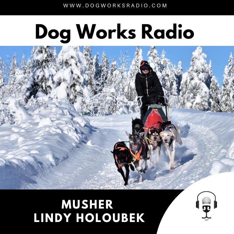 Lindy Lou Dog Works Radio