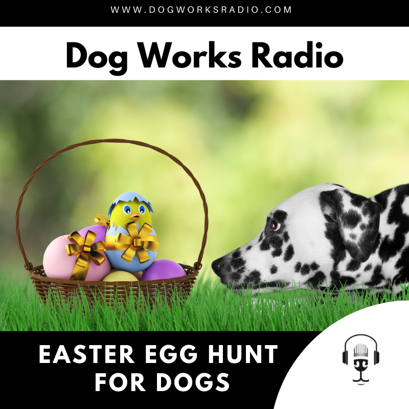 easter egg hunt for dogs