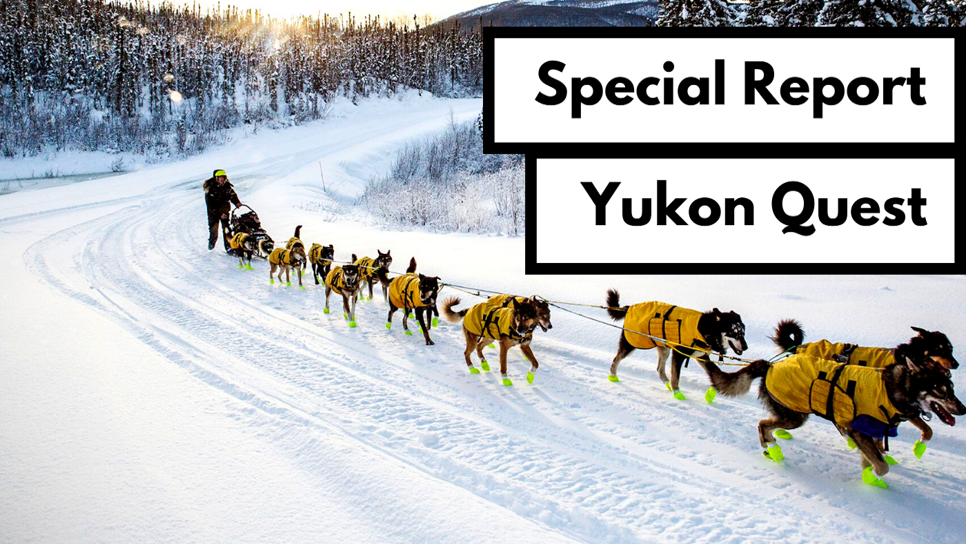 special report yukon quest