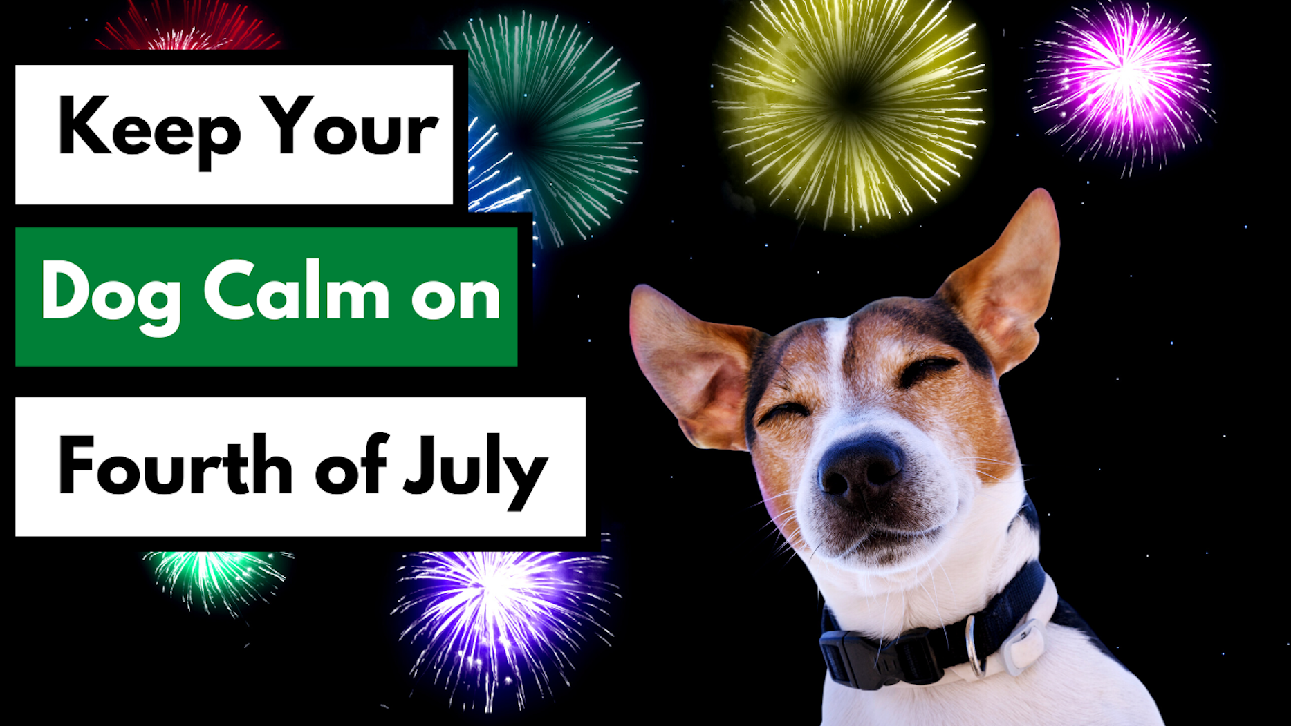 Keep your dog calm on Fourth of July