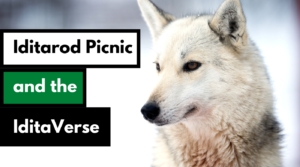 Iditarod picnic dog works radio