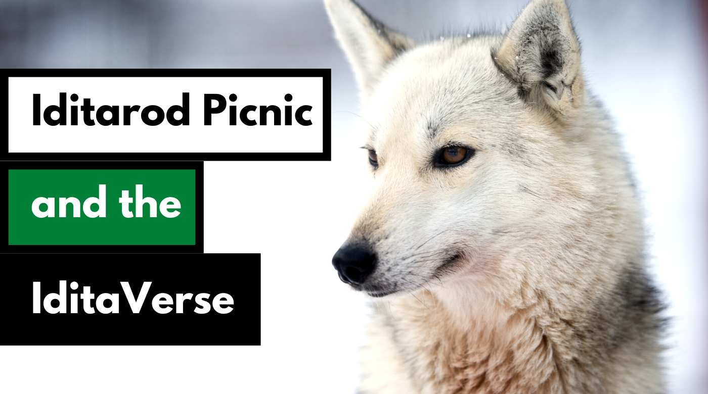 Iditarod picnic dog works radio