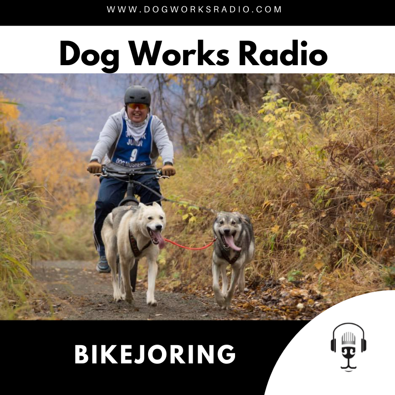 bikejoring dog works radio
