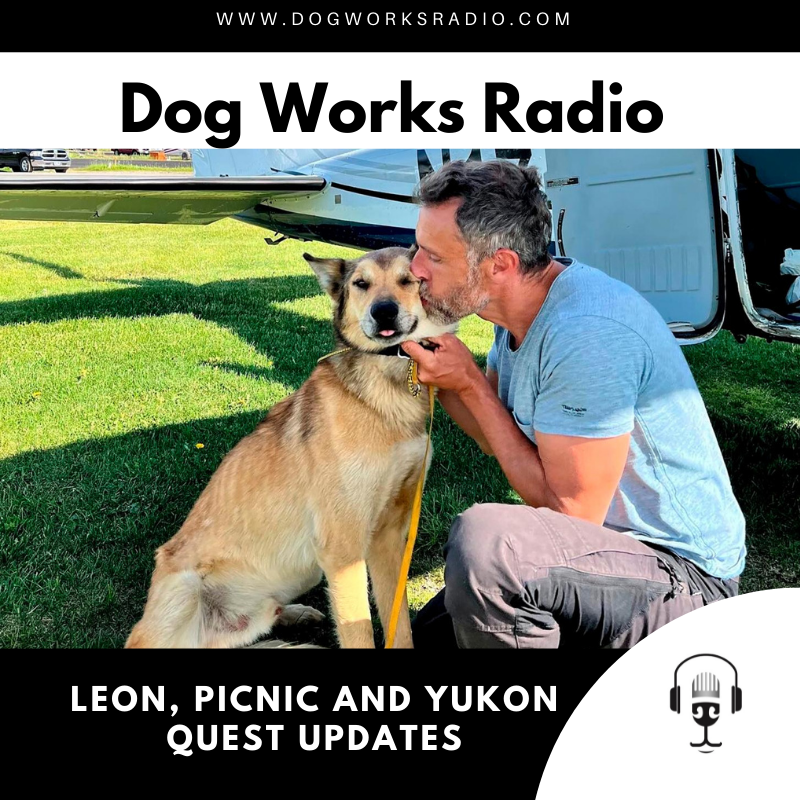dog works radio leon picnic and yukon quest updates