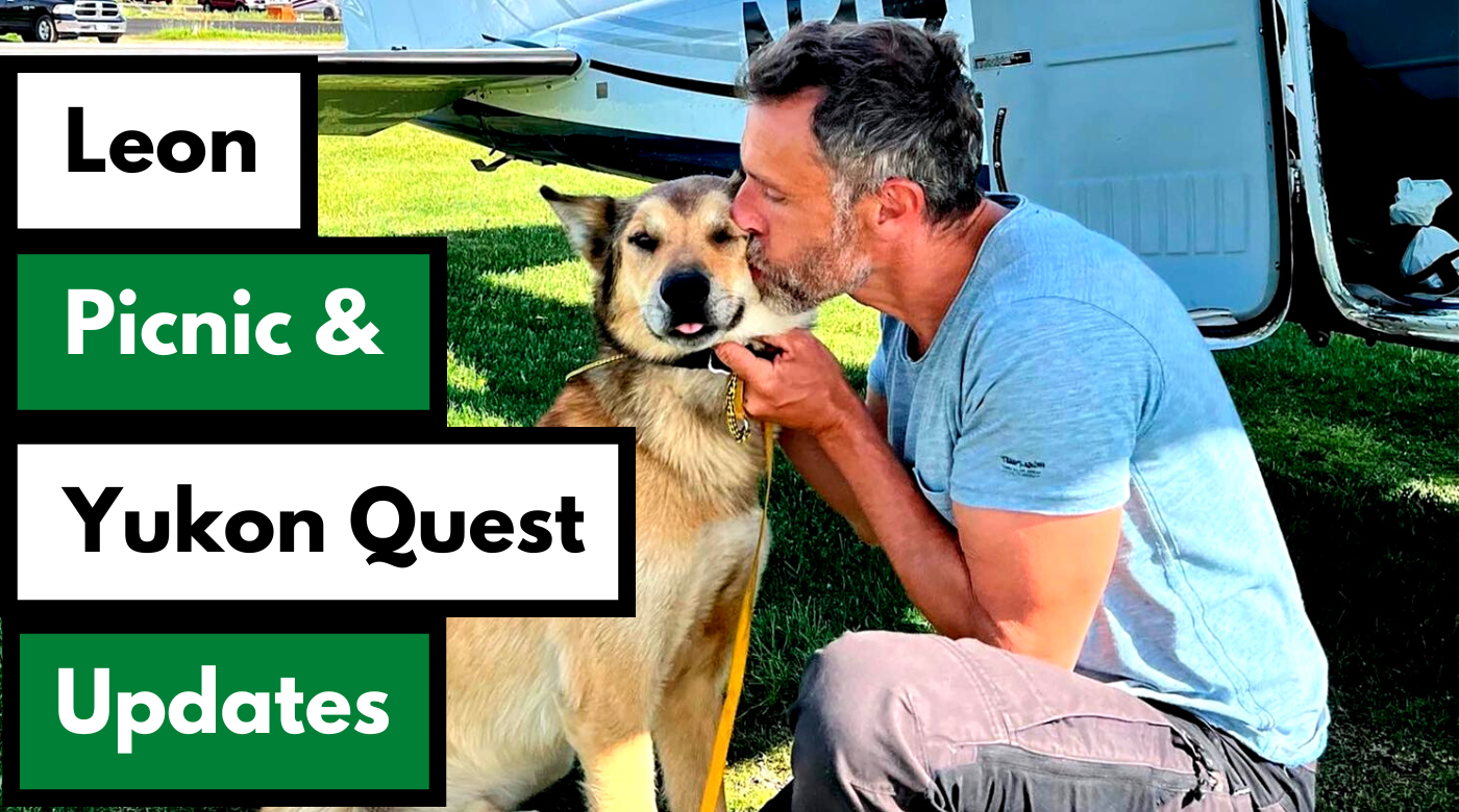 leon, picnic and yukon quest updates dog works radio