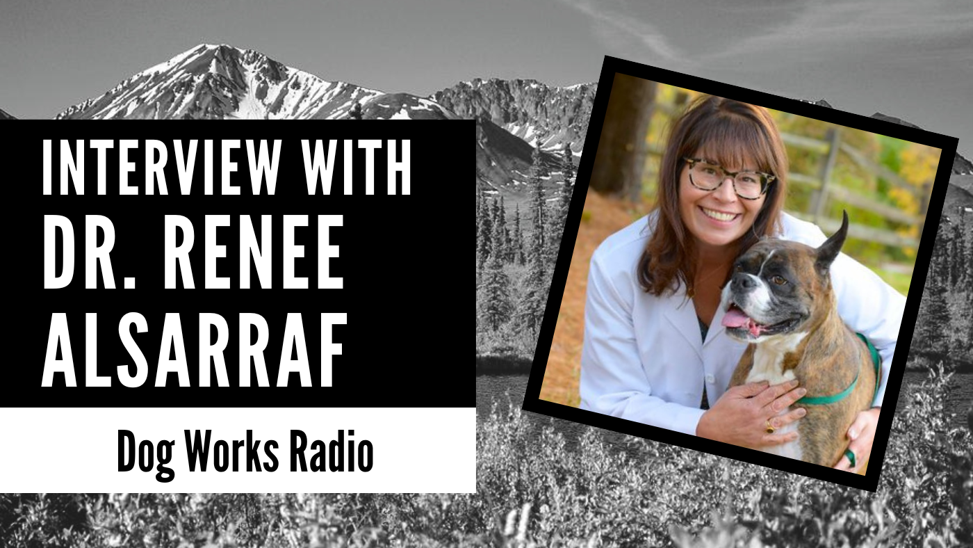 Dr Renee Alsarraf dog works radio
