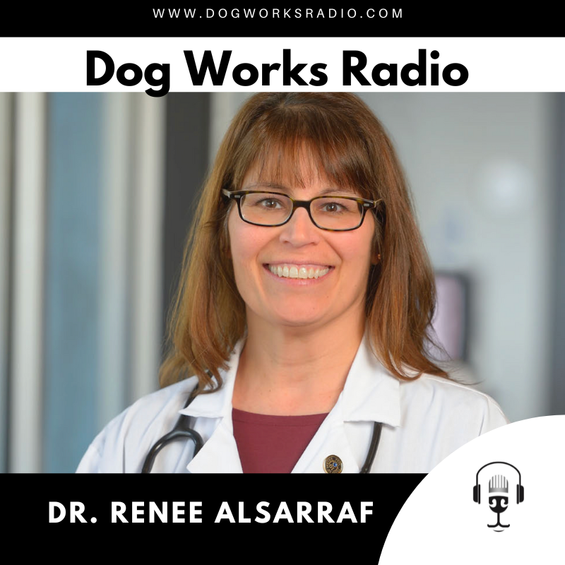 dog works radio dr renee alsarraf