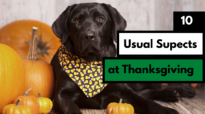 10 usual suspects at Thanksgiving and how to save your dog from them dog works radio