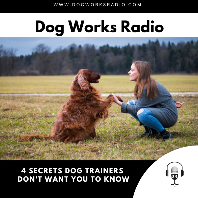 dog works radio 4 secrets dog trainers dont want you to know