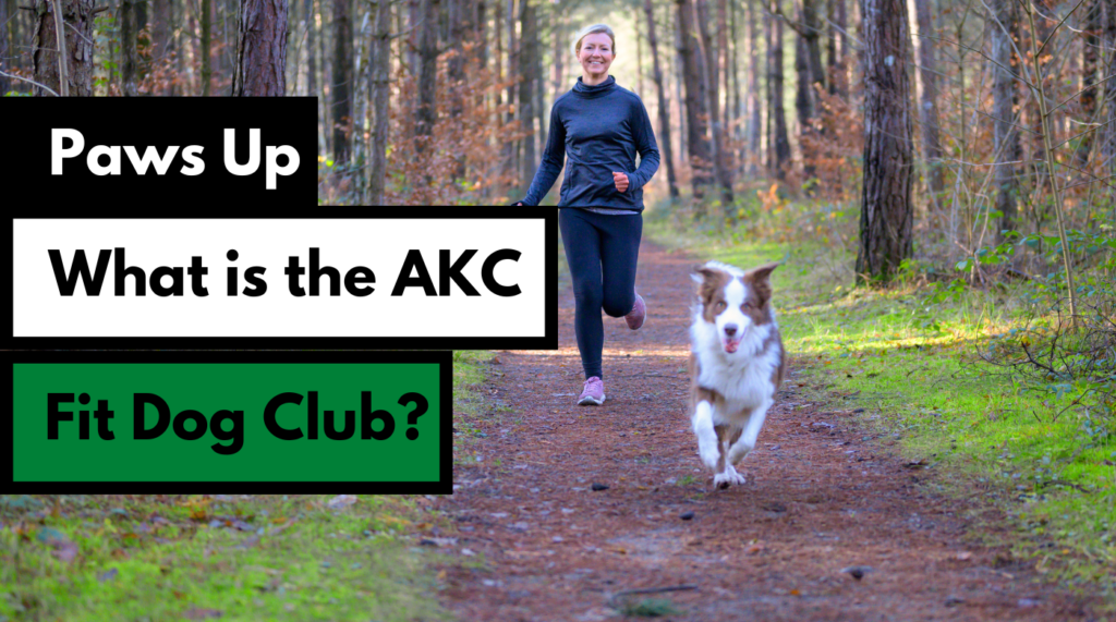 Paws Up! What is the AKC Fit Dog Club? Dog Works Radio