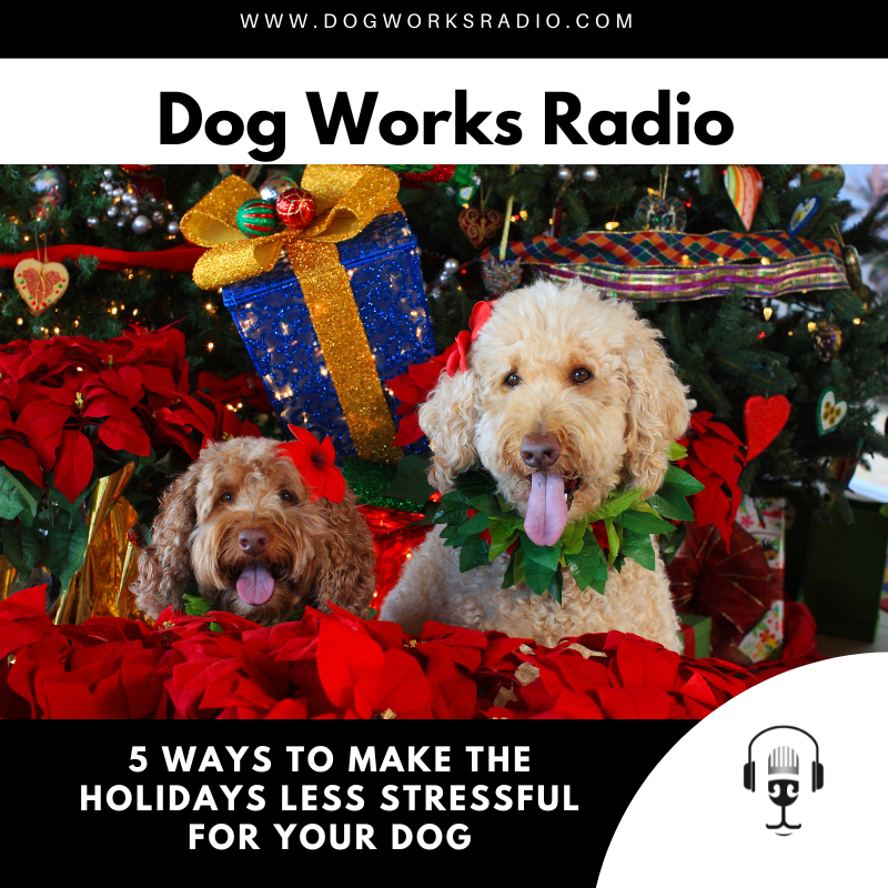 5 ways to make the holidays less stressful for your dog on dog works radio