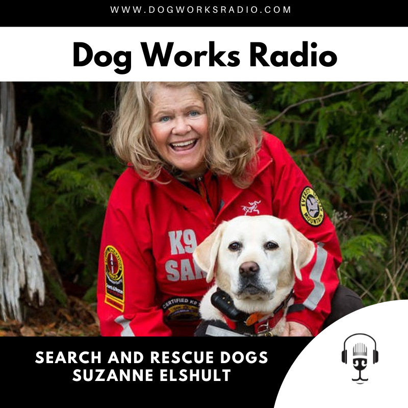 dog works radio suzanne elshult