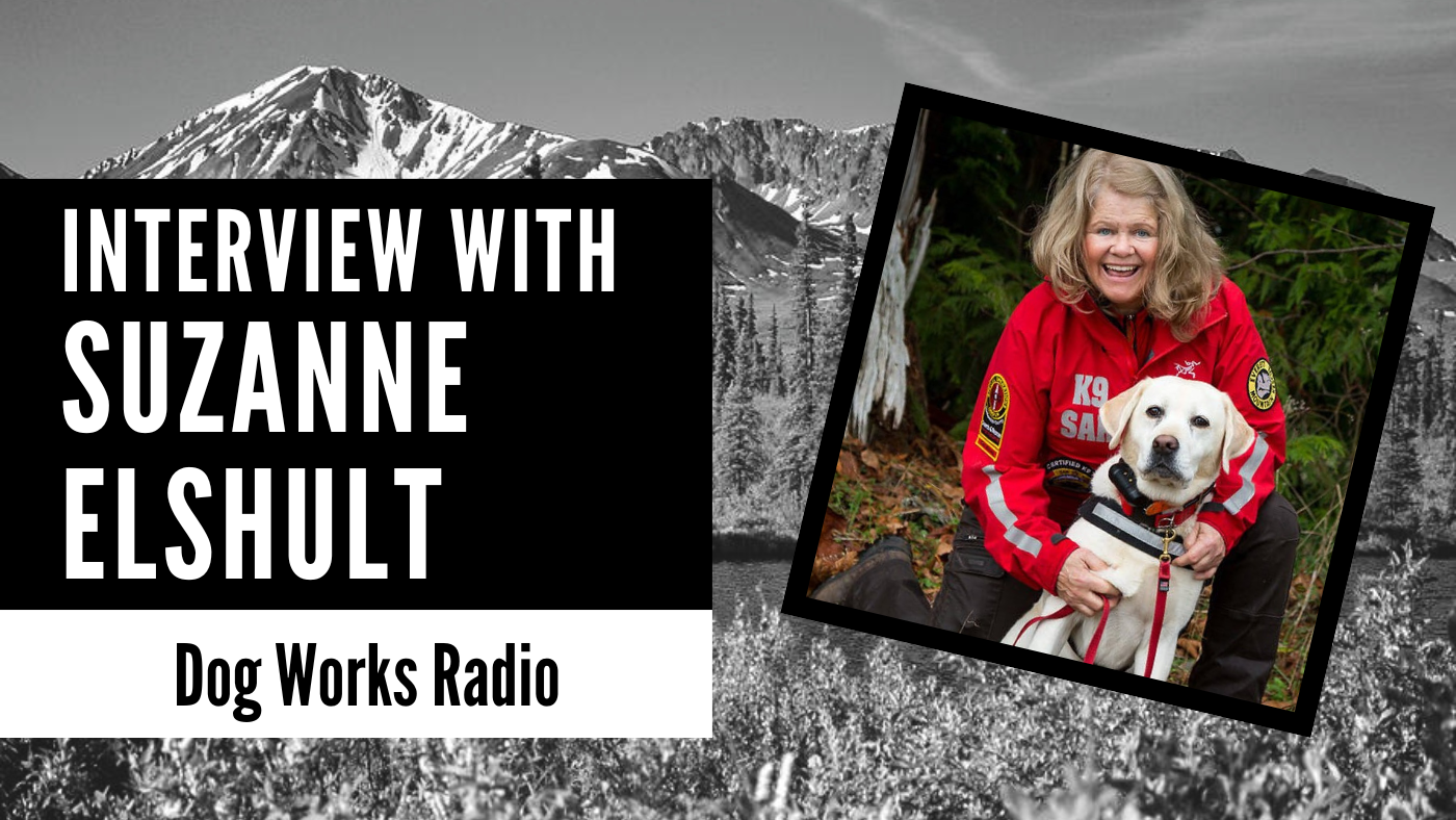 suzanne elshult dog works radio