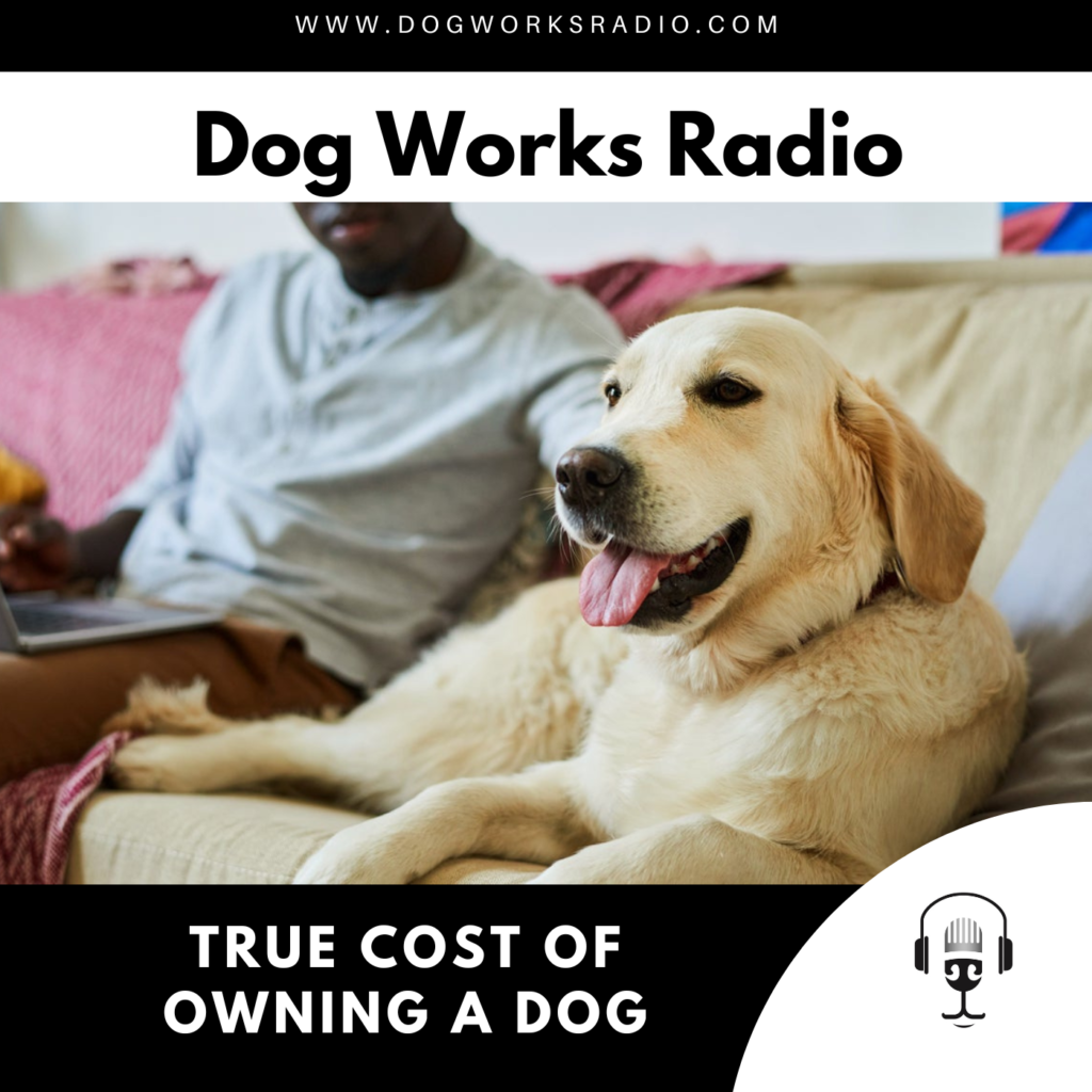 true cost of owning a dog podcast cover